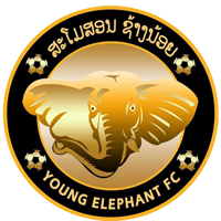 Young Elephants